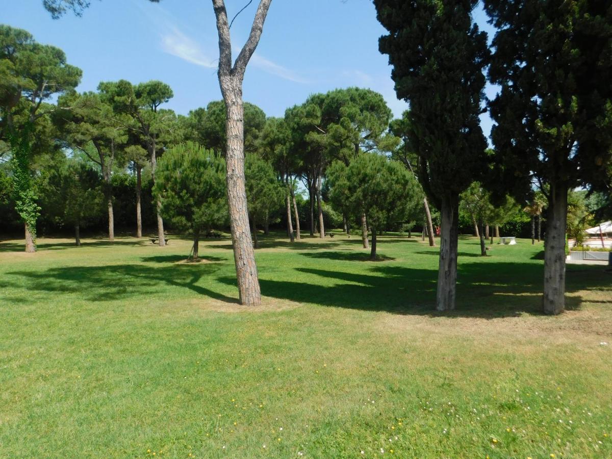 Lato Soleggiato @Gardazzurro Apartment Padenghe sul Garda Ngoại thất bức ảnh