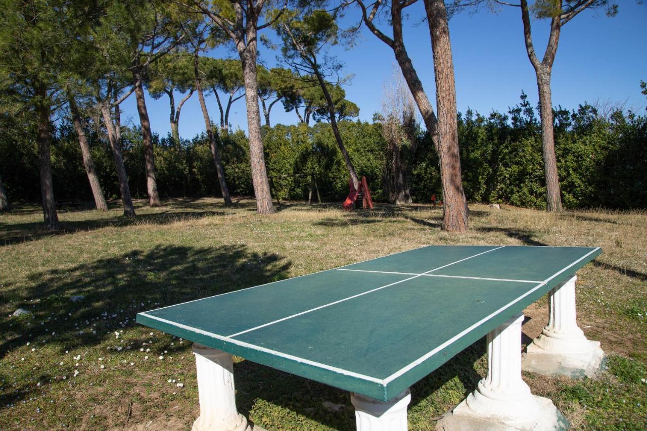 Lato Soleggiato @Gardazzurro Apartment Padenghe sul Garda Ngoại thất bức ảnh